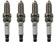 Spark Plugs