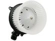 Blower Motor